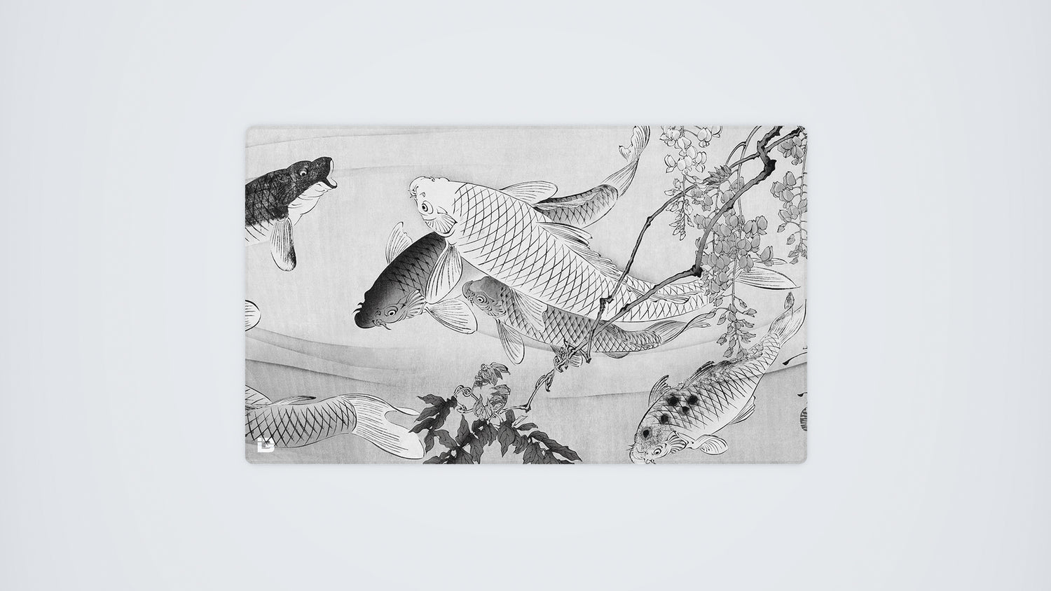 Koi Pond Mono