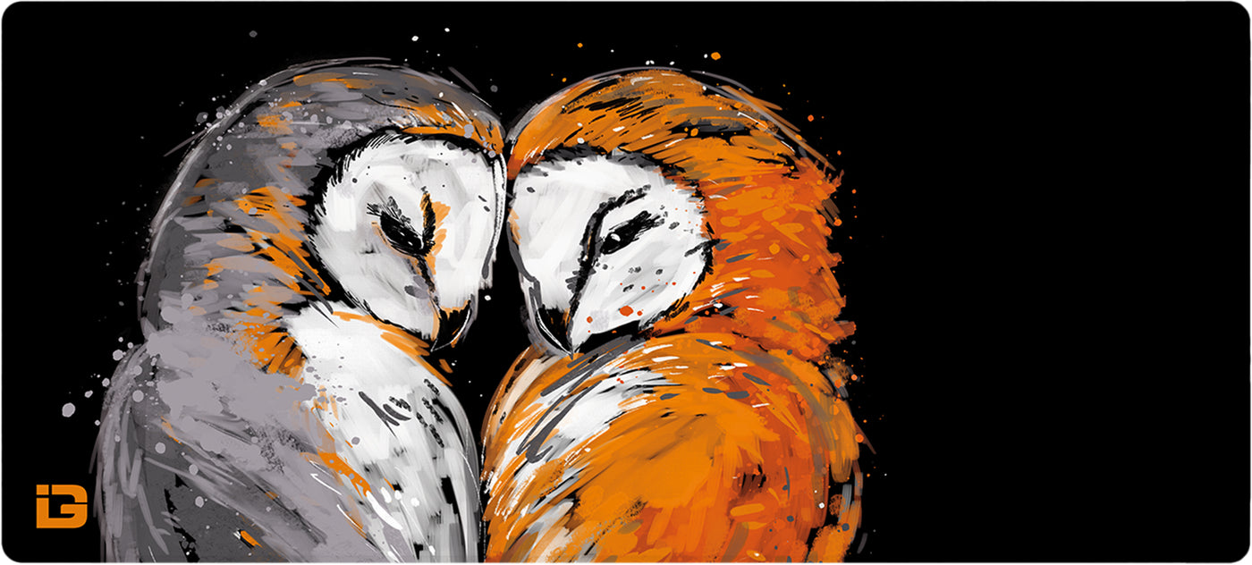 Owls in love